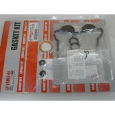 T/E GASKET KIT